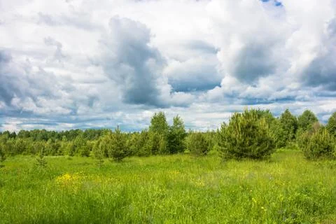 Summer landscape with cloudy sky. Stock Photos