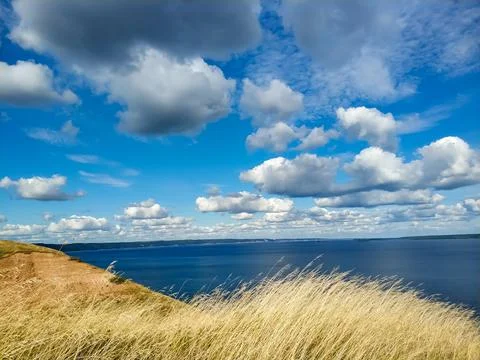 Summer landscape: ears of rye, cloudy sky, Volga river, mountains. Stock-Fotos