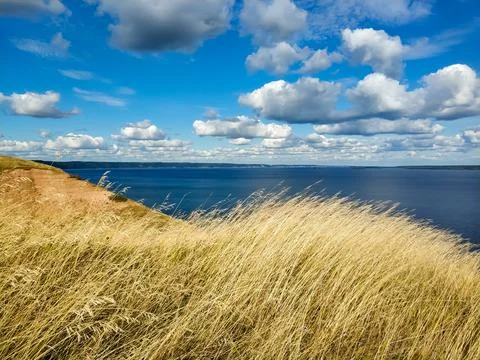 Summer landscape: ears of rye, cloudy sky, Volga river, mountains. Foto stock