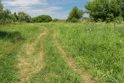 Summer landscape with empty  back road through green meadow near Dnipro city Stock Photos