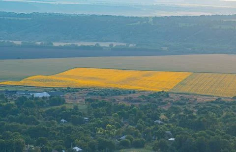 Summer landscape in the evening Stock Photos