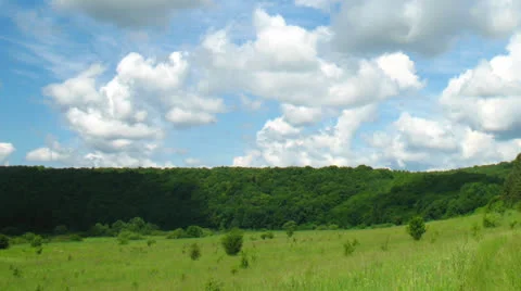 Summer landscape - field of grass Vidéo 24996693