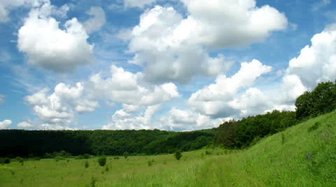 Summer landscape - field of grass Vidéo 24996735