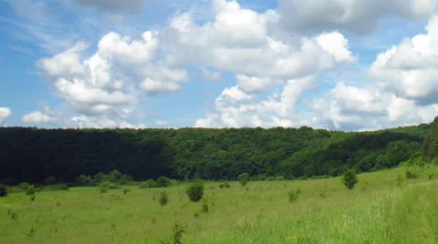 Summer landscape - field of grass Vidéo 24996766