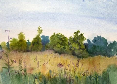 Summer landscape with a field Stock Illustration