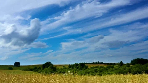 Summer landscape of fields with clouds and blue sky Stock Footage 92234511