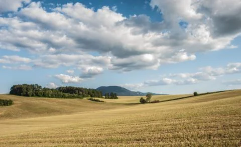 Summer landscape, fields Stock Photos