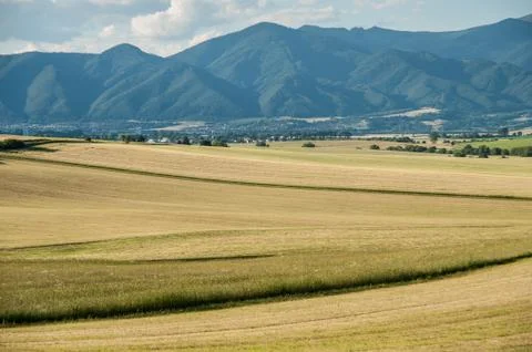 Summer landscape, fields Stock Photos