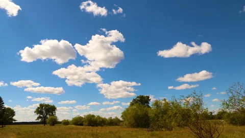 Summer landscape with floating clouds above the trees. time-lapse Stock Footage 139589904