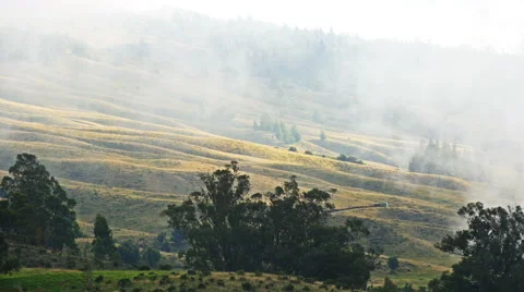 Summer landscape in a fog Vidéo 48594191