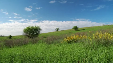 Summer landscape Stock Footage 6697593