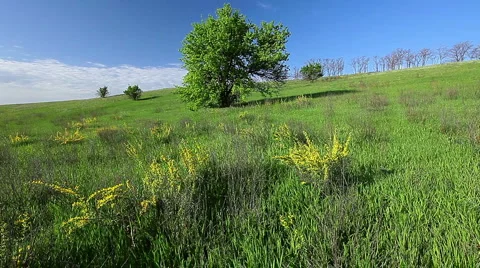 Summer landscape Stock Footage 6699793