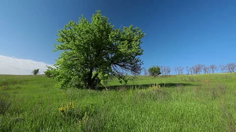 Summer landscape Stock Footage 6704358