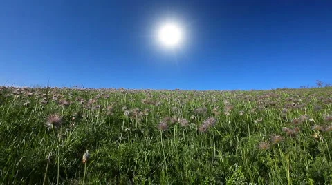 Summer landscape Stock Footage 6706194