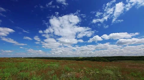 Summer landscape Stock Footage 8560046