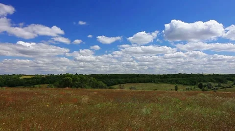 Summer landscape Stock Footage 8560076