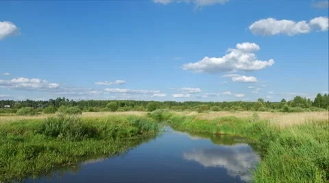 Summer landscape 스톡 동영상 8560623