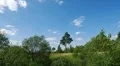 Summer landscape HD Footage