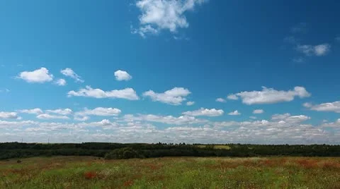 Summer landscape Stock Footage 8851931