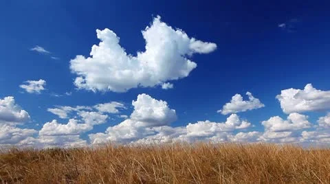 Summer landscape Stock Footage 8960159