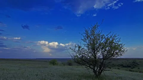 Summer landscape Stock Footage 11129593