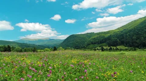 Summer landscape Stock Footage 11982967