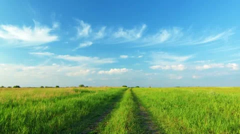 Summer landscape Stock Footage 12604413