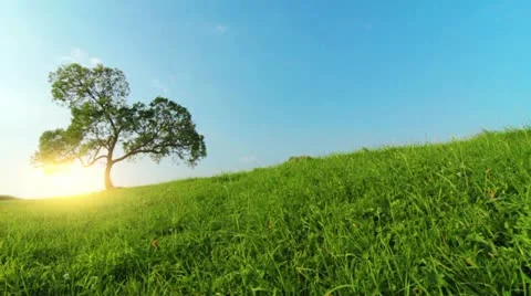 Summer landscape Stock Footage 12604489