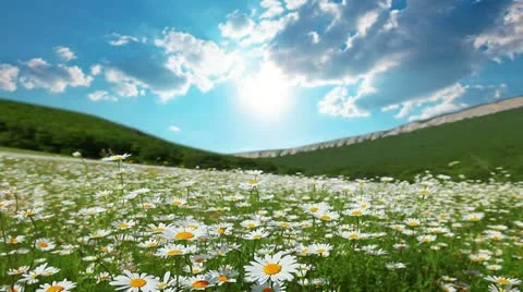 Summer landscape Stock-Footage 13155336