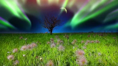 Summer landscape Stock Footage 20447782