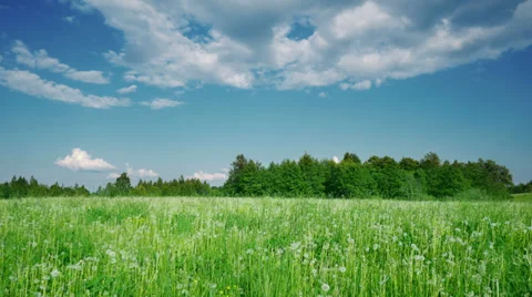 Summer Landscape 스톡 동영상 24625663