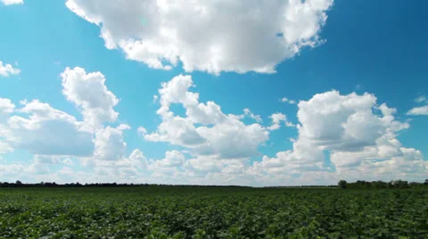 Summer landscape Stock Footage 25008665