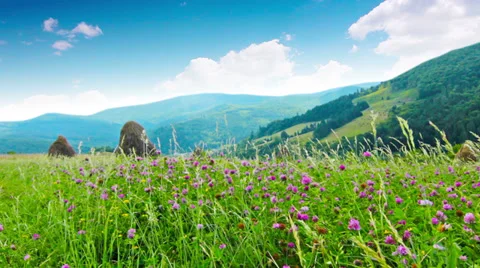 Summer landscape Stock Footage 29157991