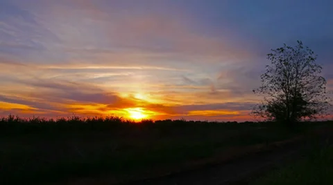 Summer landscape Stock Footage 35550918