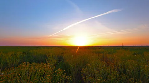 Summer landscape Stock Footage 35552864