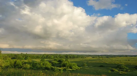 Summer landscape 스톡 동영상 39718306