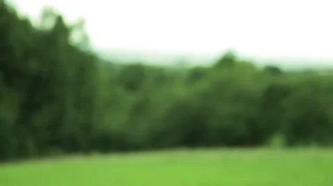 Summer landscape. Stock Footage 47949168