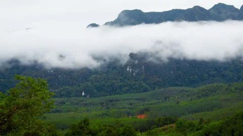 Summer landscape 스톡 동영상 62964478