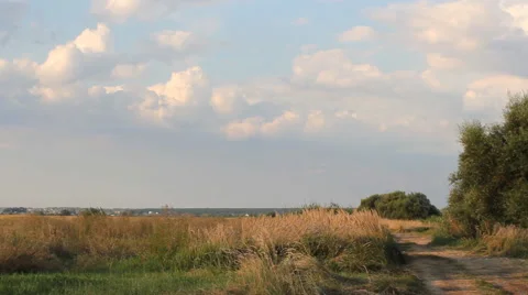 Summer landscape. Stock Footage 67202748
