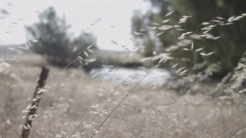 Summer landscape Stock Footage 77074228