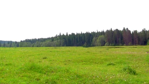 Summer landscape Stock Footage 305393555