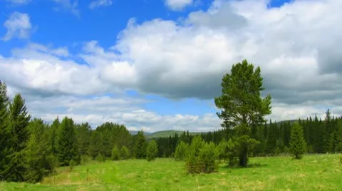 Summer landscape forest and clouds on sunny day timelapse Stock Footage 10583440