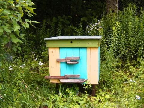 Summer landscape in forest. Apiary Stock Photos