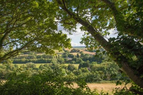 Summer landscape framed by trees Stock Photos