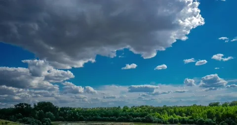 Summer landscape, grasses, forest, clouds. Stock Footage 136240277