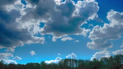 Summer landscape, grasses, forest, clouds. Stock Footage 136309420