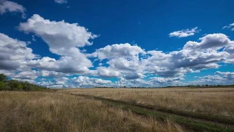 Summer landscape, grasses, forest, clouds. Stock Footage 137845371