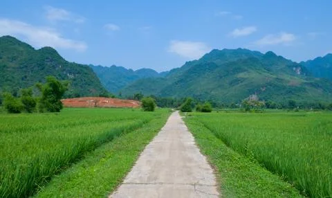 Summer landscape with green field, road and mountains Stock Photos