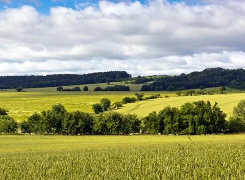 Summer landscape with green fields Stock Photos