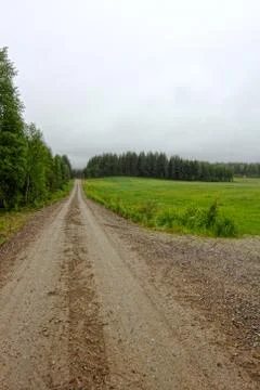Summer landscape with green fields Stock-Fotos